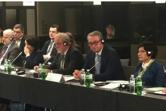 Delegacija Parlamentarne skupštine BiH učestvovala na Petom plenarnom zasjedanju Parlamentarne skupštine Procesa saradnje u Jugoistočnoj Evropi 